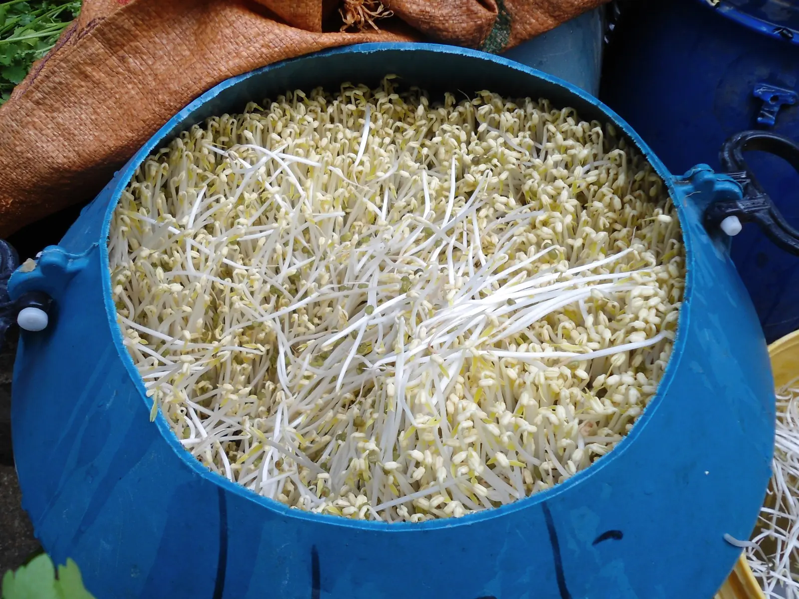 Produk Segar Tenka Farm